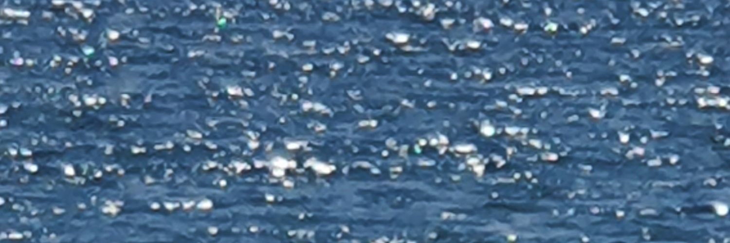 seliskrbcl's profile banner image