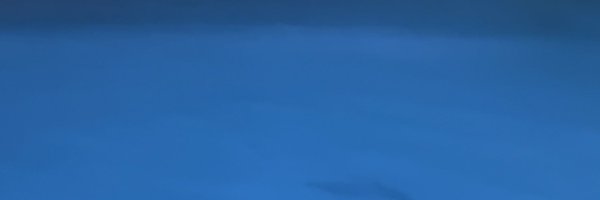 capcap_max Profile Banner