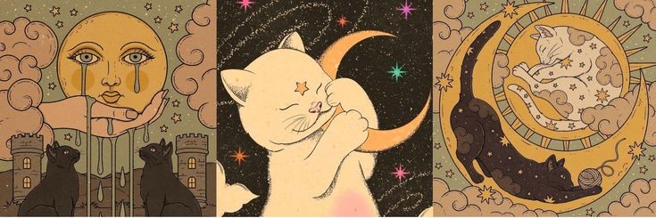 M2Seok_'s profile banner image