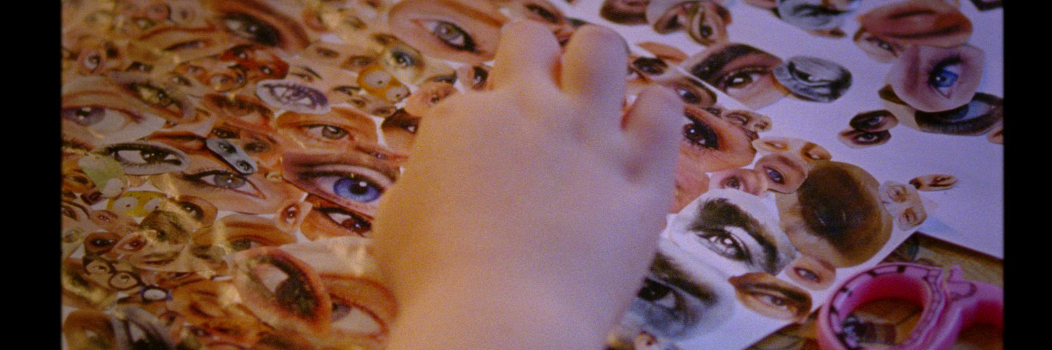 zoolotter's profile banner image