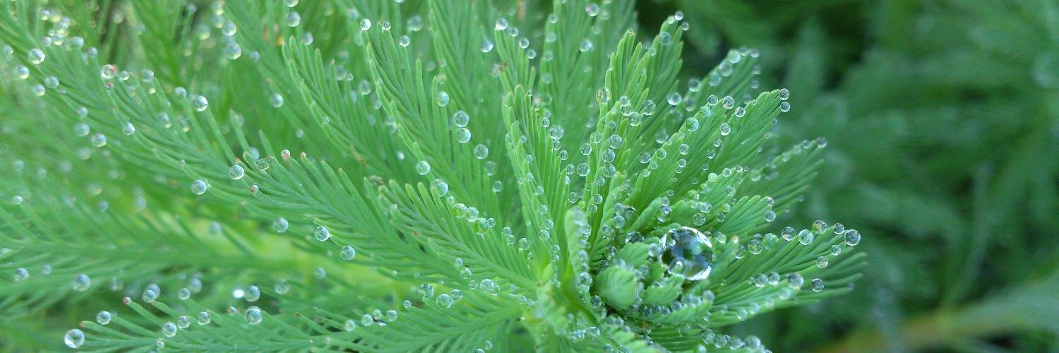 Χ④＠週末炭火焼肉 鹿屋基地提督 banner