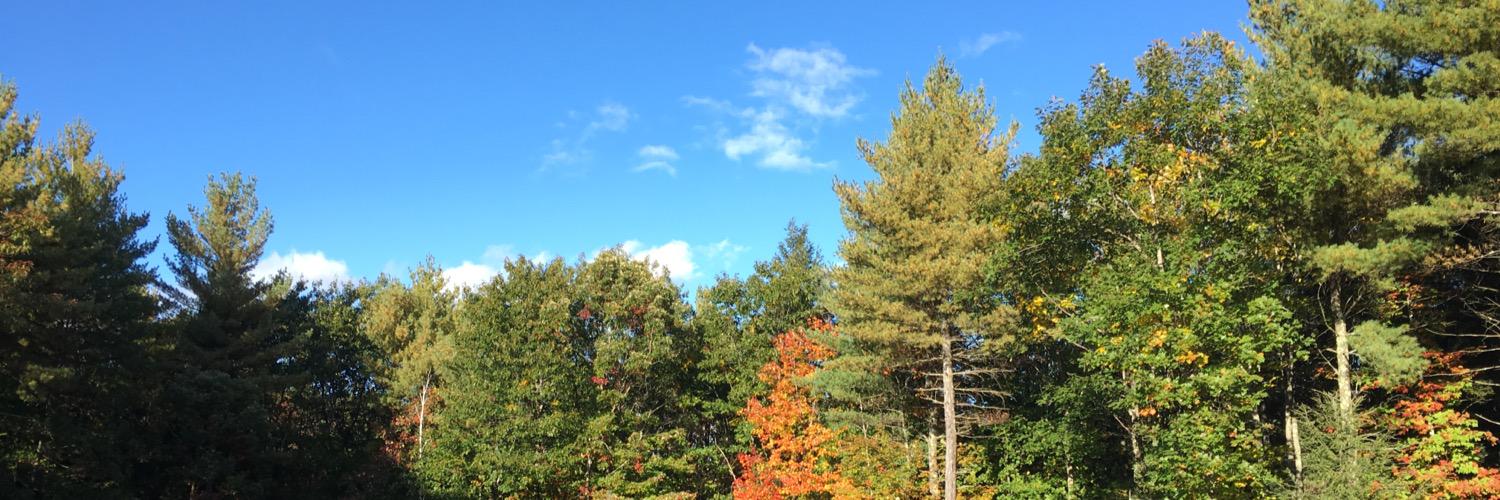 jrNewEngland's profile banner image