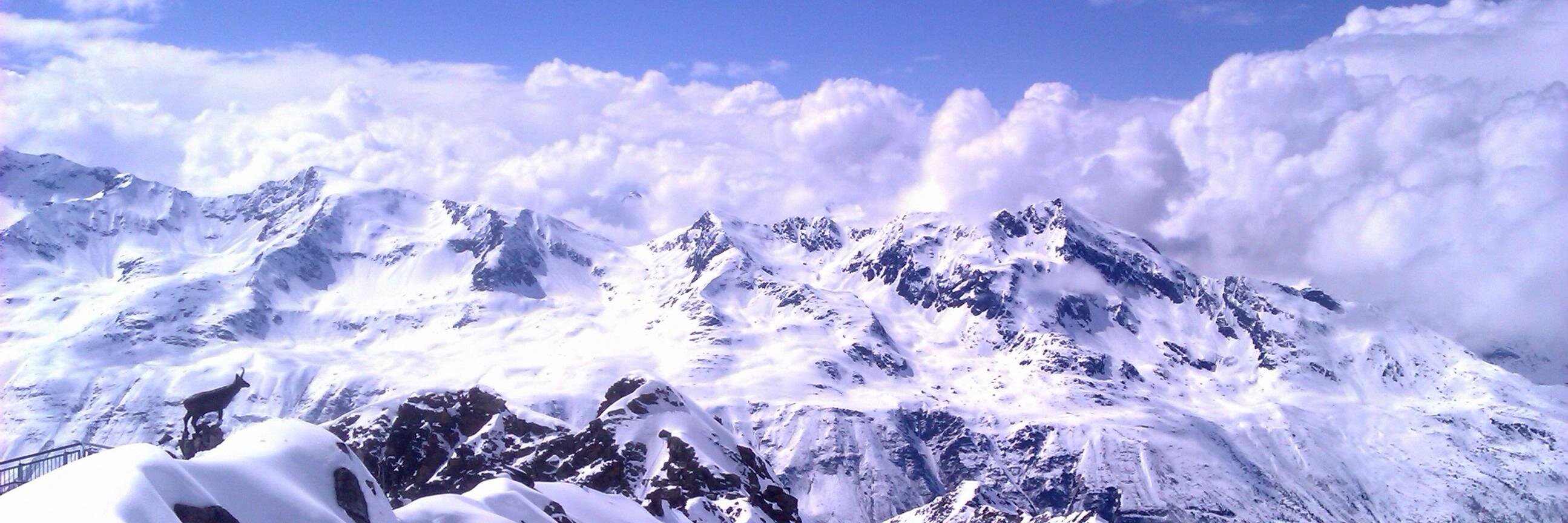 Benjamin Weiner banner