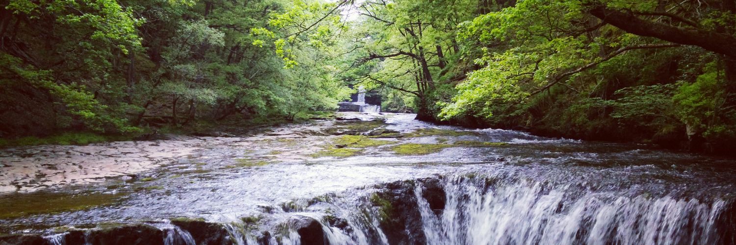 Carolin Goethel banner