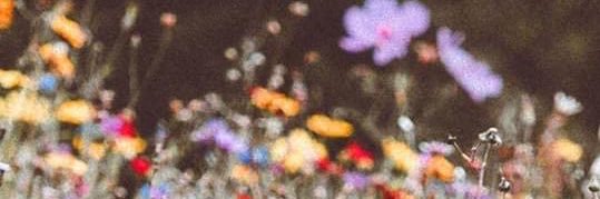maddimilbs's profile banner image