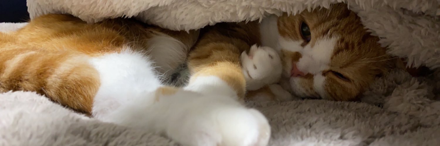 トリゾーです！ banner