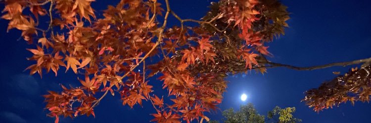 はづちを's banner