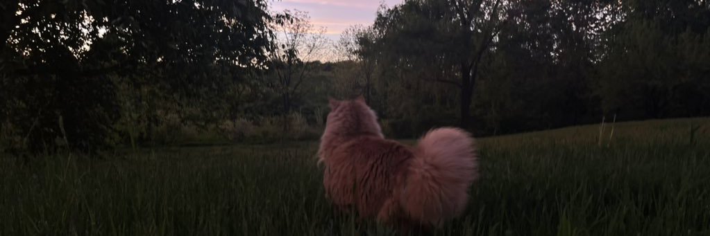 florenceluvrr's profile banner image