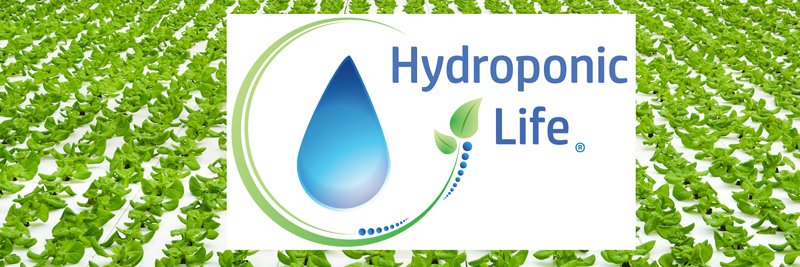 HydroponicLife1's profile banner image