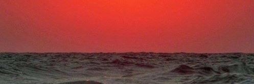 alejandrahelli1's profile banner image