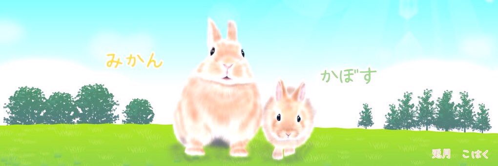みかん🍊かぼす💚's banner