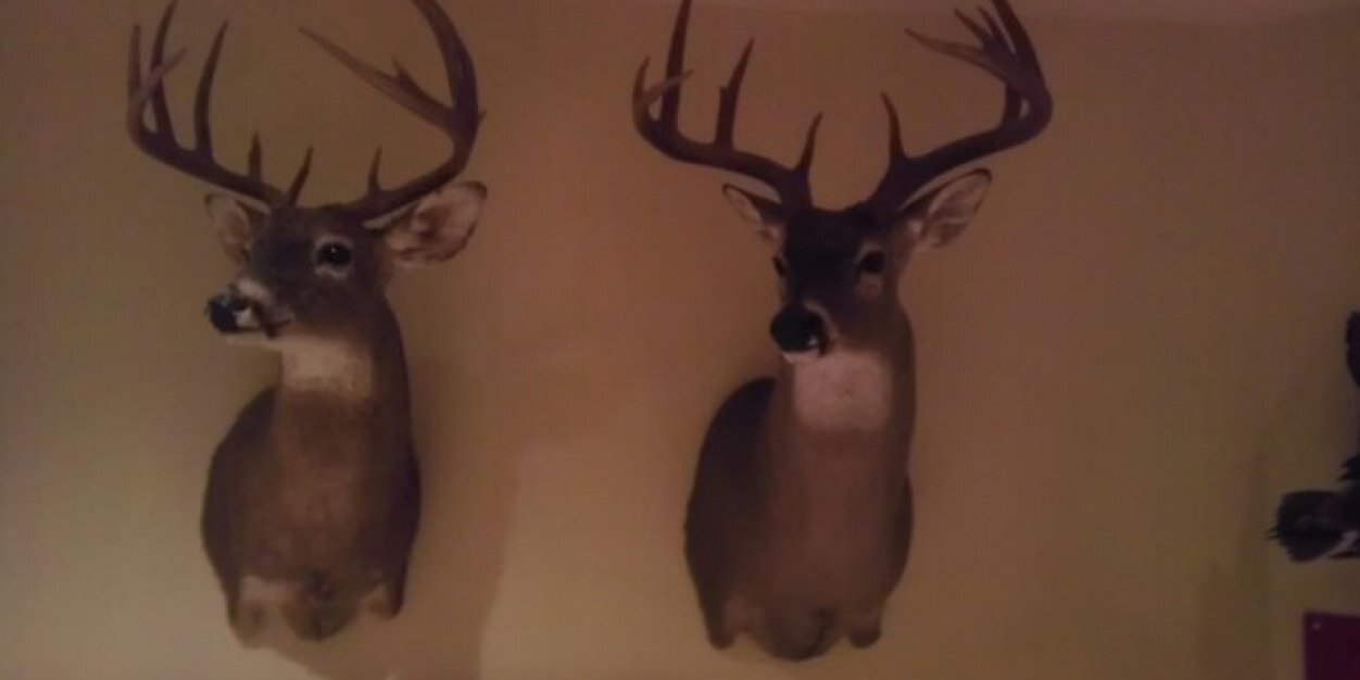 Cox13_'s profile banner image