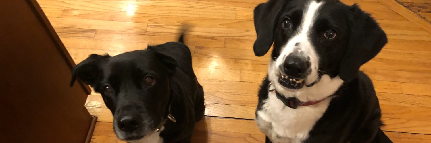HoffmanCamilla's profile banner image