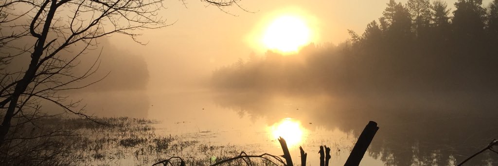 ryechev's profile banner image
