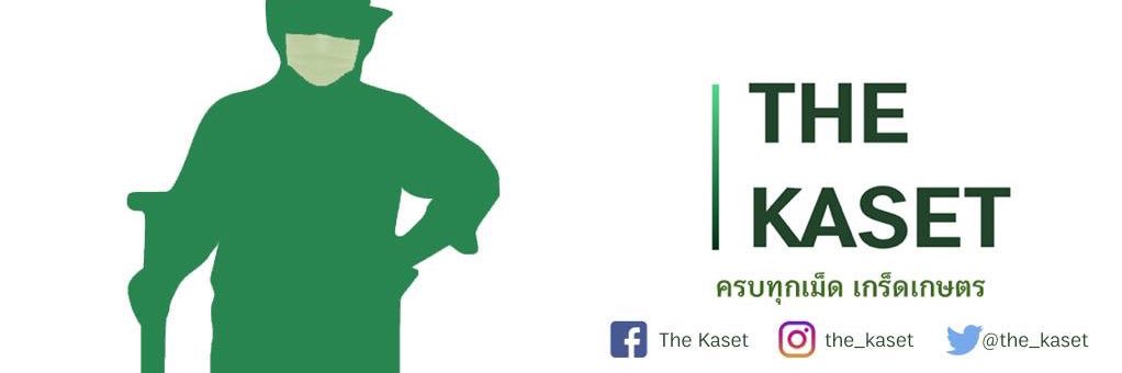 The Kaset banner