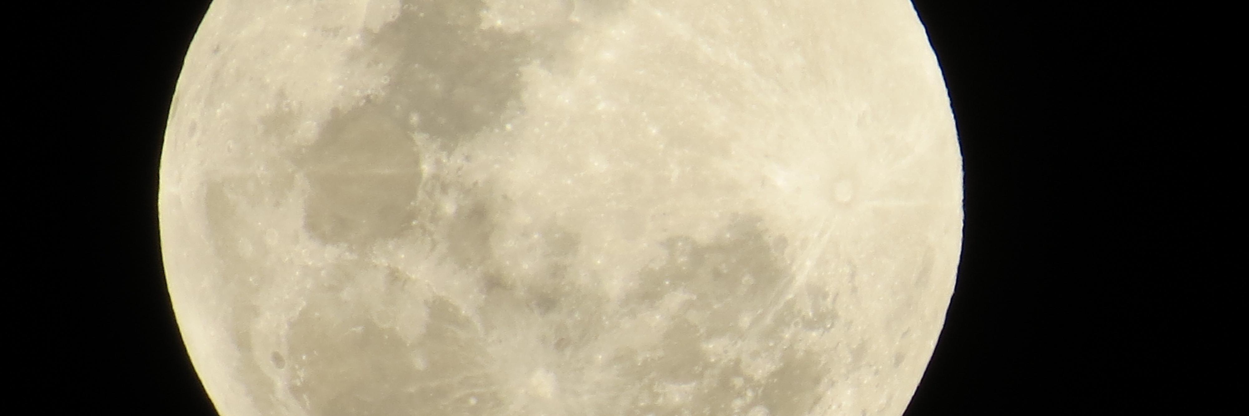 anitasharp17's profile banner image