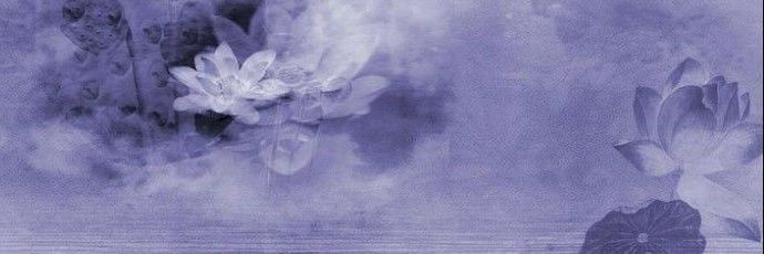 lesyxeux's profile banner image