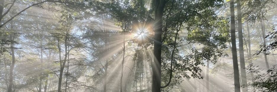 LebenundS's profile banner image