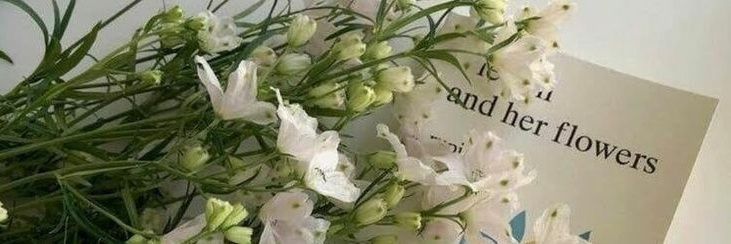 bywonies's profile banner image