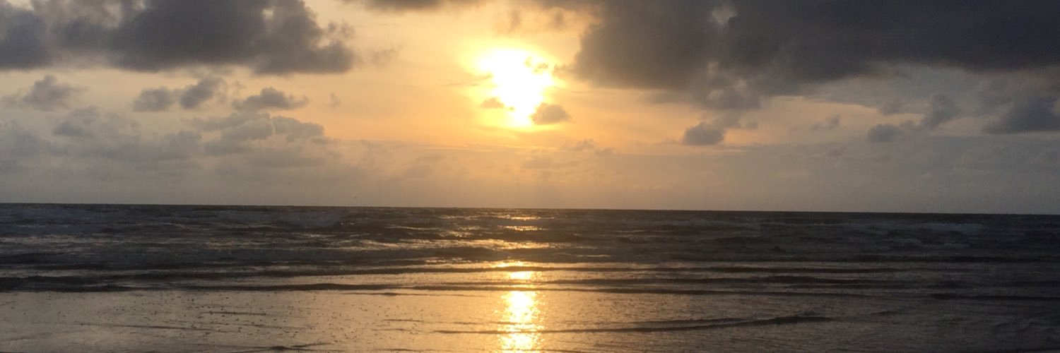 postalpigeon's profile banner image