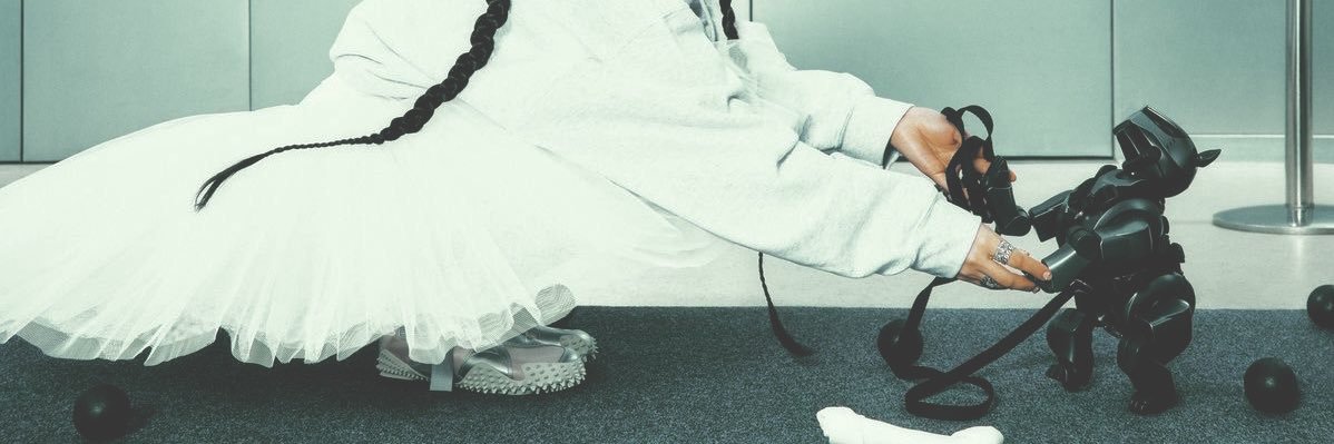 aris 🔨 banner