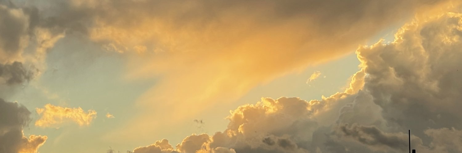 joycschultz's profile banner image