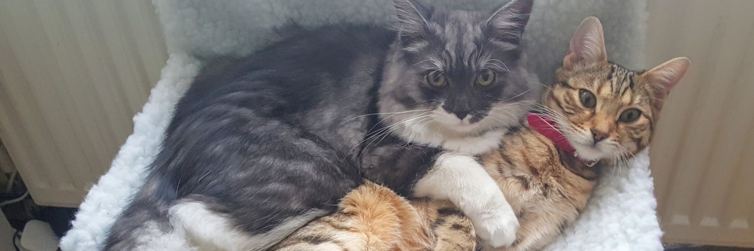 Ruby & Charlie banner