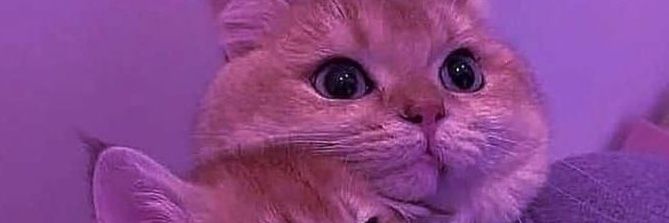 lazykid_'s profile banner image