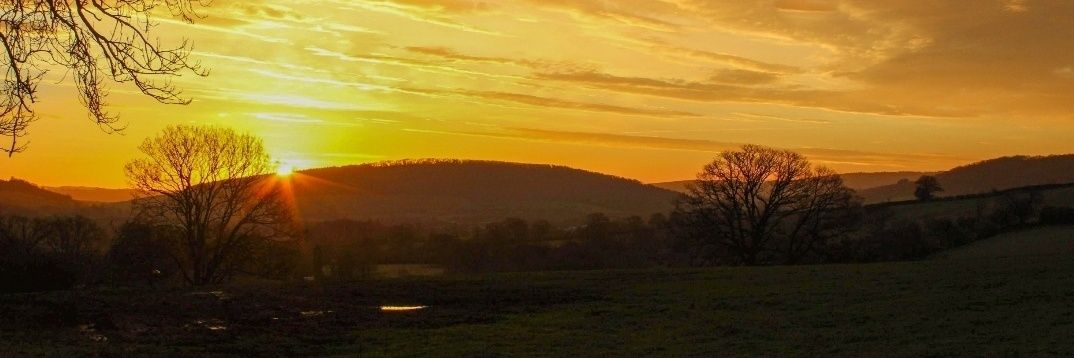 SharonFieldPho1's profile banner image