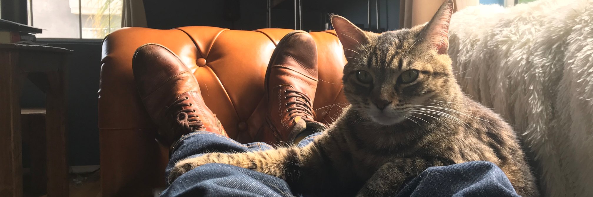 Eric Pfeiffer banner