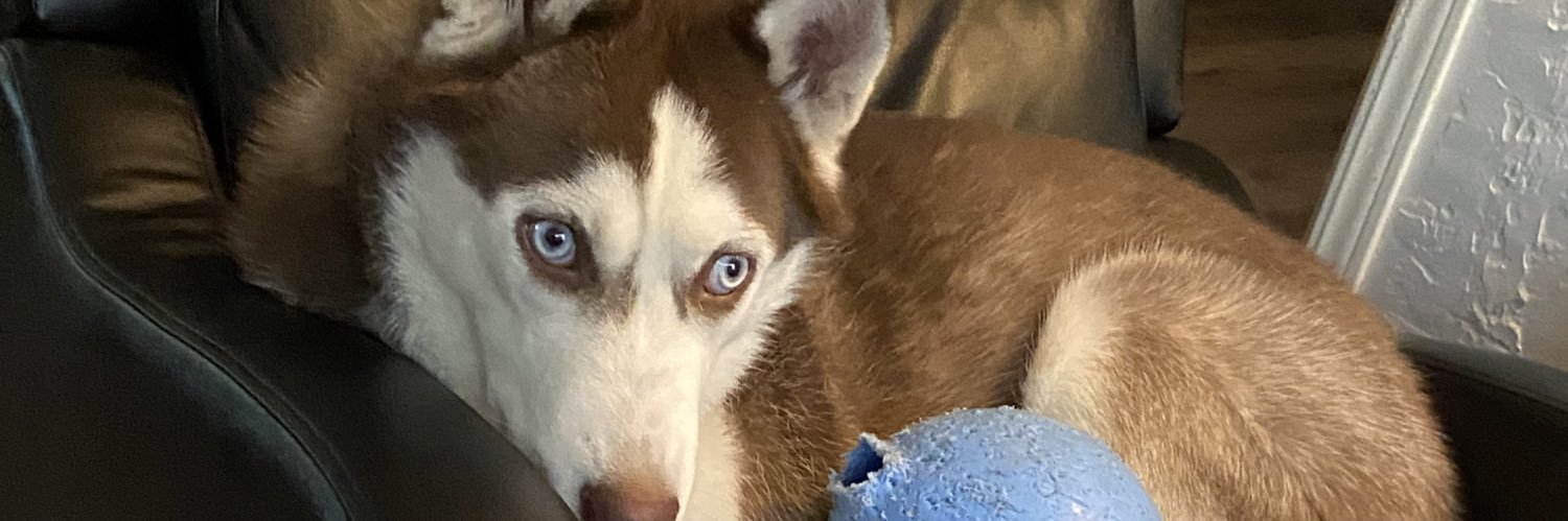 badwolf2119's profile banner image