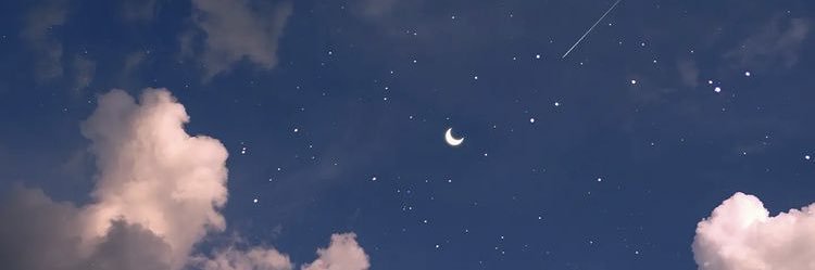 BettyGimeneez's profile banner image
