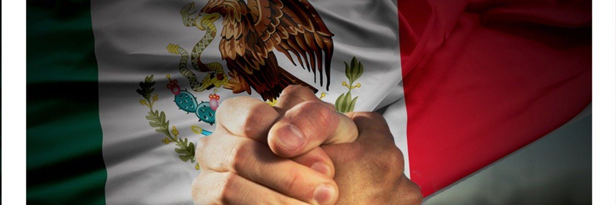 LMariaGallardo's profile banner image