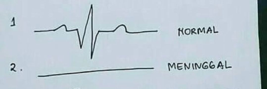 ᵉˡᵉˣᵗʳᵃ 🇵🇸🇧🇪 banner