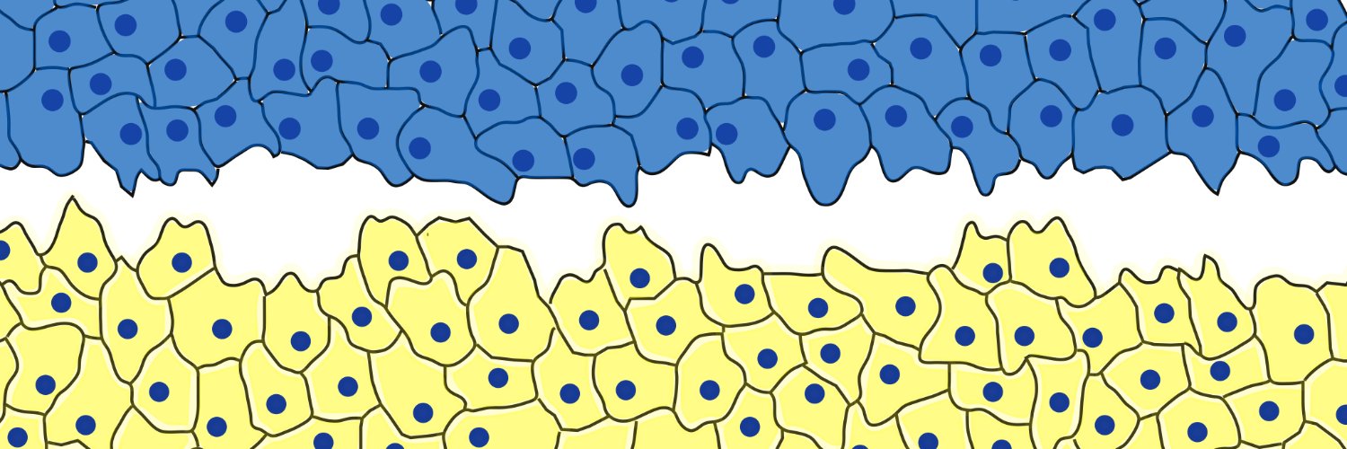 Cell Migration Seminars banner