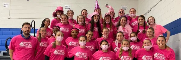 York Volleyball banner