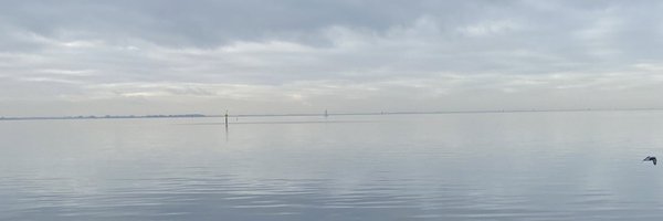 saltytoast8 Profile Banner