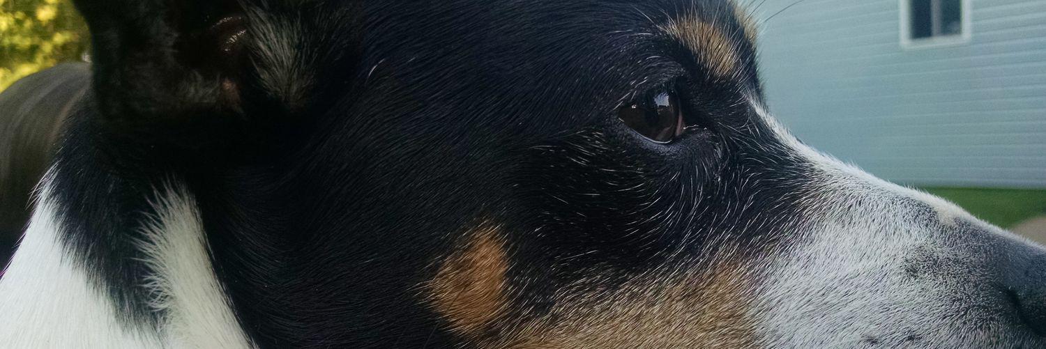 BeckSE72's profile banner image