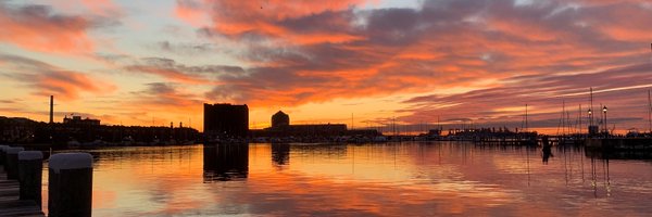 LaPetitePedicle Profile Banner