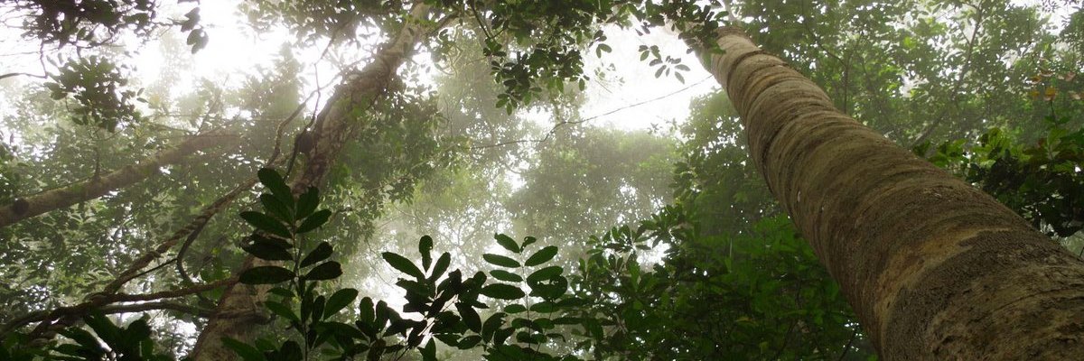 Coco70774502's profile banner image