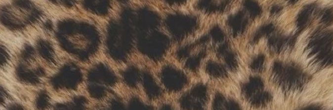 ✩ S O U L ✩ banner