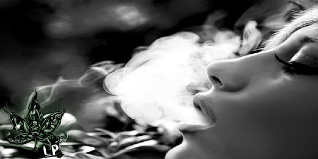 sabehollyrocc's profile banner image