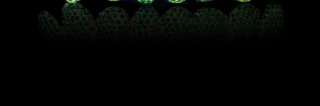 sunbright banner