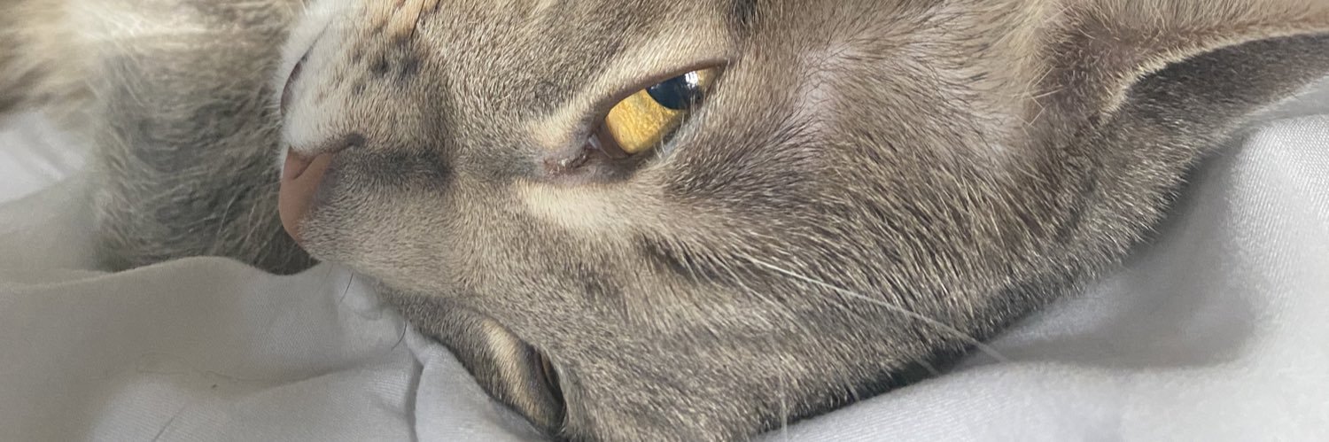 hannah_marks1's profile banner image