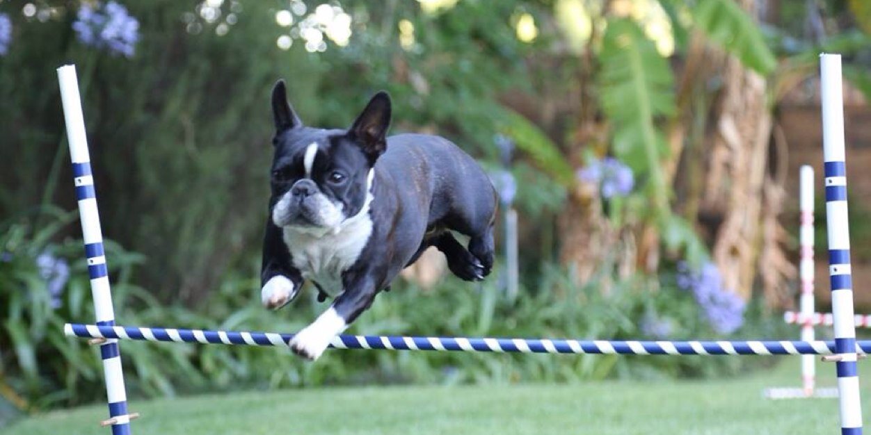 IrmaSchoeman's profile banner image