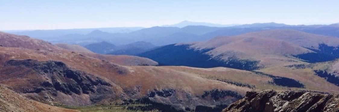 Jacquelyn Pless banner