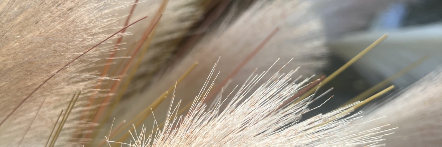 T🍃🐰 (slow ติดเรียน) banner