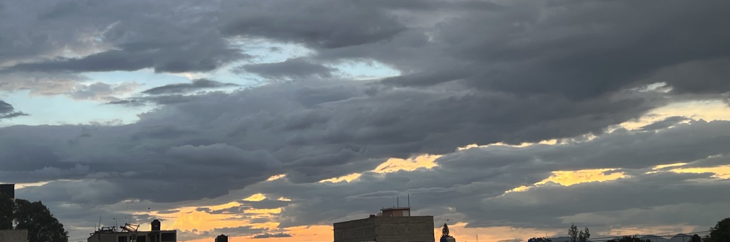 feeritopia's profile banner image