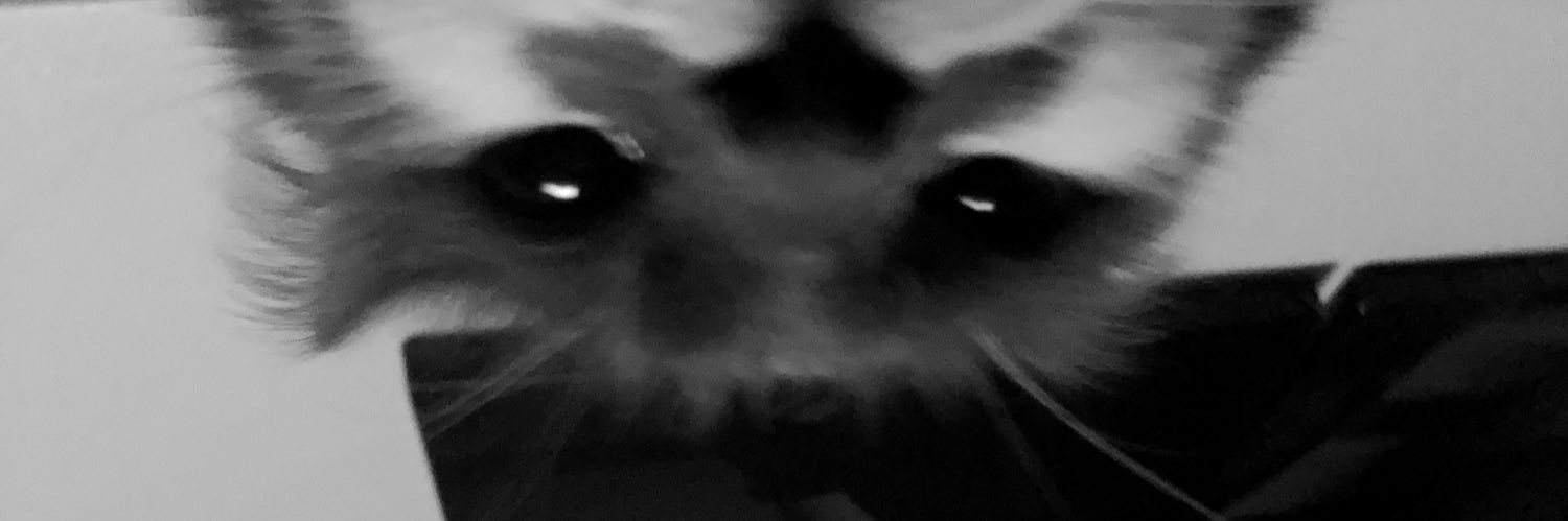 𝘚𝘖 不 banner
