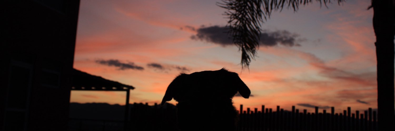 ette22's profile banner image